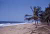 Plage africain