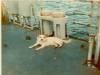 Pollux